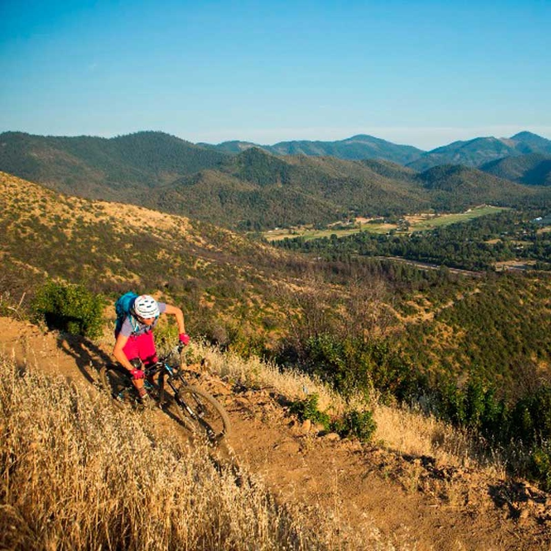 Mountain Bikes